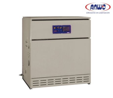 CALDERA A GAS RMG 110 CE IONO